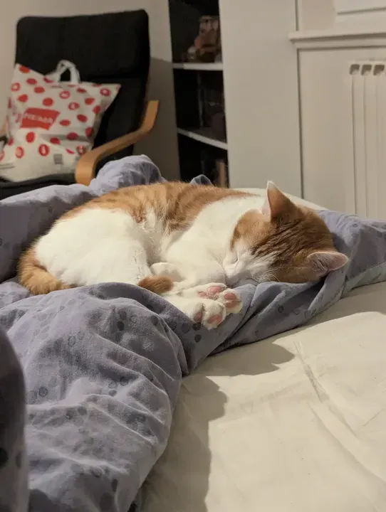 PXL_20260218_211702985